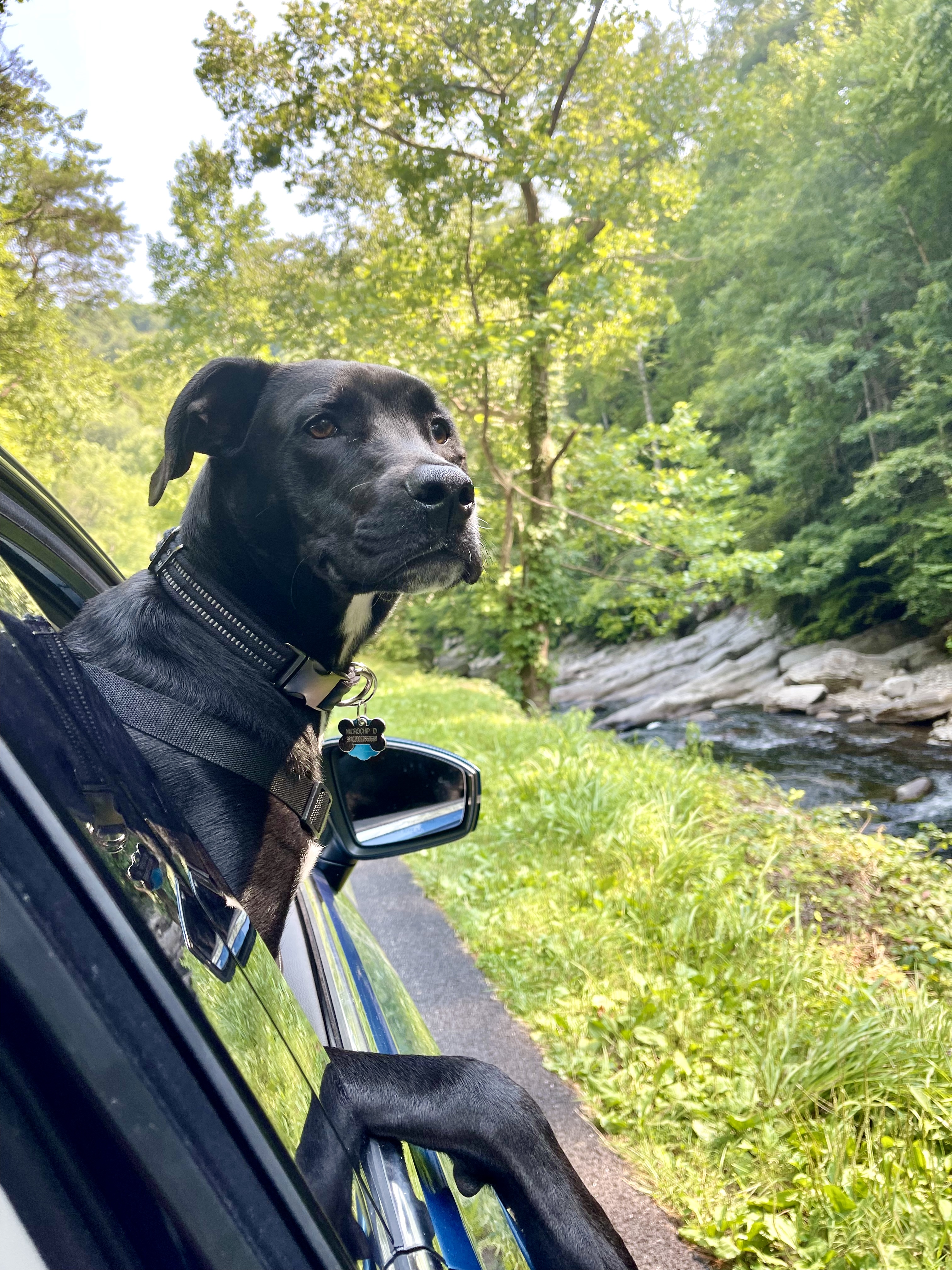 toby haning out of the window in SM
